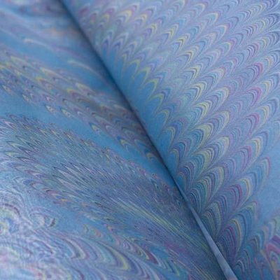 Photo2: Light Blue Peacock（M）
