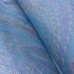 Photo2: Light Blue Peacock（M） (2)